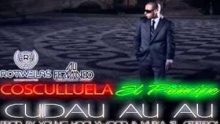 Cosculluela FtAlexis amp Fido amp Daddy Yankee  Cuidau Au Au Official Remix REGGAETON NUEVO [upl. by Aikkan]