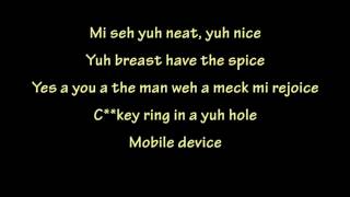 Spice Vybz Kartel  Conjugal Visit Lyrics [upl. by Suciram649]