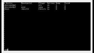 Setting Up Python Development Environment In FreeBSD 102 [upl. by Goerke]