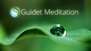 Mindfulness Guided Meditation Dansk [upl. by Teplica]