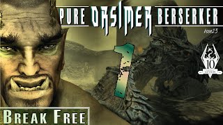 Pure ORSIMER Berserker 1  BREAK FREE  Skyrim AE Legendary Survival Playthrough [upl. by Anida936]