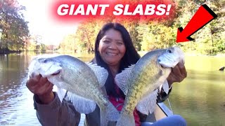 S08E47 Giant Slabs Late October Cypress Swamp [upl. by Florin]