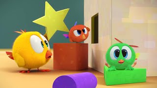 Chickys riddles  Wheres Chicky  Cartoon Collection in English for Kids  New episodes [upl. by Grenier733]