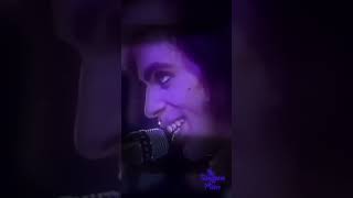 💜 Starfish amp Coffee Lovesexy Tour Live in Dortmund 1988💜 Prince MindofPrince NPG [upl. by Mariano]