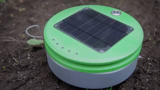 Tertill Solar powered weeding robot for home gardens [upl. by Willem]