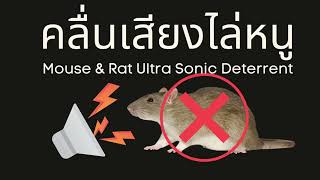 mouse amp rat ultrasonic deterrent repellent sound rat repellent sound 1 hour [upl. by Hoppe]