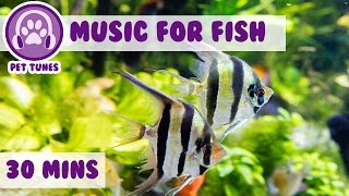 Music for Fish Fish Tank MusicWe Love Pet Fish Fish Therapy Aquarium Relax Help My Fish [upl. by Navnod]