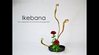 Ikebana Howto the Taterukatachi stepbystep [upl. by Eelir]