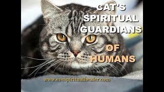 Cats Spiritual Guardians Of Humans [upl. by Nerland]