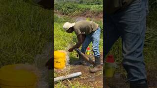 Irrigation time shortvideo trend trending shorts short holidayswithshorts youtubemadeforyou [upl. by Enaid]