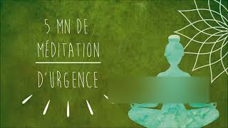 Méditation durgence  Crise dAngoisse dAnxiété Attaque de Panique [upl. by Godred]