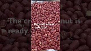 Roast peanuts in toast oven for 8 minutes [upl. by Verla]