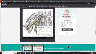 Upper Extremity Anatomy NPLEX Review [upl. by Hakilam]