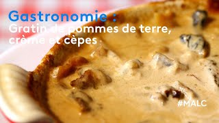 Gastronomie  gratin de pommes de terre crème et cèpes [upl. by Dysart]