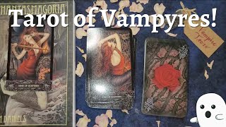 Tarot of Vampyres First Impressions and FlipThru [upl. by Atteloiv573]