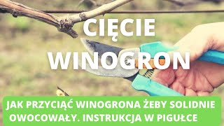 Cięcie winorośli Jak to zrobić [upl. by Solis]