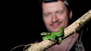 Herping southern Vietnam [upl. by Trotter]