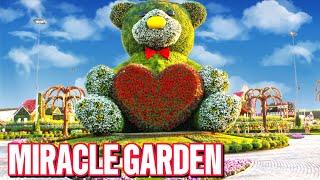 MIRACLE GARDEN DUBAI  The worlds largest garden  HD [upl. by Tnek550]