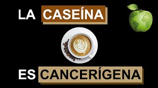 La Caseina es Cancerígena [upl. by Cassidy]