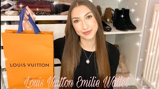 LOUIS VUITTON EMILIE WALLET REVIEW  3 YEAR WEAR amp TEAR [upl. by Joh31]