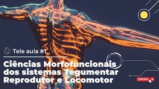 Ciências Morfofuncionais dos Sistemas Tegumentar Reprodutor e Locomotor TELE AULA 1 [upl. by Bil143]