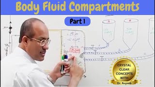 Body Fluid Compartments  IV Fluids  Types amp Uses Part 1🩺 [upl. by Aicnelav]