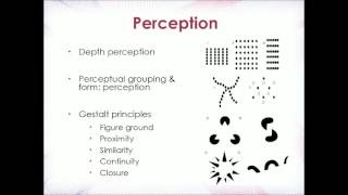 Cognition Lecture 3  Perception Attention Filter Theory [upl. by Anyaled]