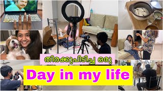 🔥 എന്റെ ഒരു Busy Day in My Life as an Influencer Business Owner Wife etc [upl. by Argile]