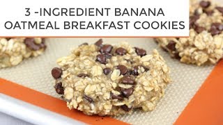 3INGREDIENT BANANA OATMEAL BREAKFAST COOKIES [upl. by Oigroig170]