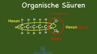 Organische Säuren  Grundlagen [upl. by Aierb]