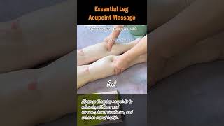 Essential Leg Acupoint Massage legmassage acupointtherapy calfpainrelief physicaltherapy [upl. by Deenya822]