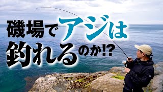 【アジング】堤防でもテトラでもなく意外な穴場！磯場でアジは釣れるのか！？ [upl. by Adnaram]