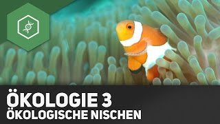 Umweltfaktoren und Ökologische Nischen  Ökologie 3 [upl. by Suoirred]