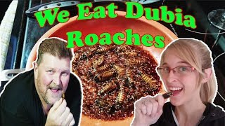 WE EAT COCKROACHES 10k sub special [upl. by Jared]