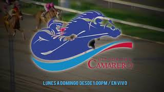 Hipódromo Camarero promo WIPR Deportes 940am [upl. by Danczyk]