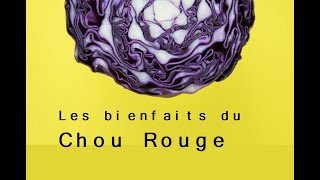 Les Merveilles Nutritives du Chou Rouge  Découvrez les Vertus Cachées de ce Légume Coloré [upl. by Halbeib843]