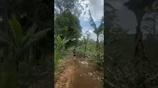 Trail Running di Patahan Lembang Bandung shorts [upl. by Naesad]