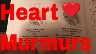 Heart Murmurs [upl. by Sandon]