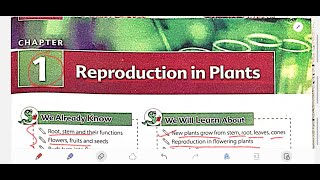 REPRODUCTION IN PLANTS CHAPTER 1 CLASS 5 SCIENCE MISSION S CHAND [upl. by Finnegan]