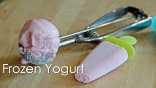 Frozen Yogurt  Recipe by ZaTaYa Yummy [upl. by Fogel]