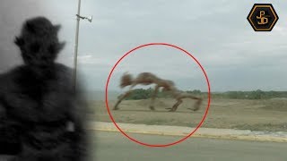 Top 5 Mysterious Creatures Caught on Camera 2019 [upl. by Laius]