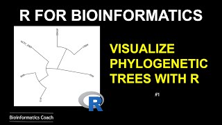 R for Bioinformatics  How to Visualize Phylogenetic Trees using ggtree [upl. by Patrice]