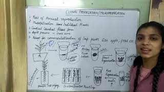 Micropropagation Clonal Propagation In Plant Tissue Cultureakanshasaroha [upl. by Rothenberg]