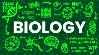 ALL OF BIOLOGY explained in 17 Minutes [upl. by Naffets]