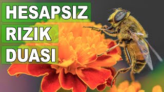 HESAPSIZ RIZIK DUASI  Çok etkili Rızık ve Bereket duası  Günlük Dualar  Göktuğ Tv [upl. by Ayarahs186]