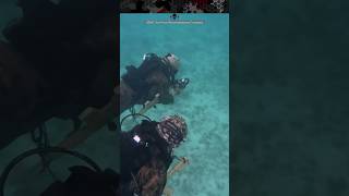 How Recon Marines Navigate Underwater with the TAC100 Compass Board [upl. by Liris427]