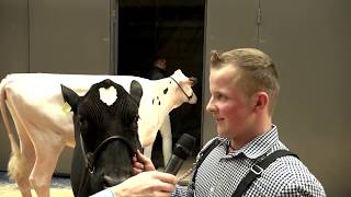 Fabian Betschart  Sieger Junior Showmanship [upl. by Shama]