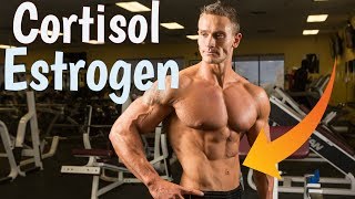 Estrogen and Cortisol 2 Hormones That Affect Belly Fat Thomas DeLauer [upl. by Ramoh]