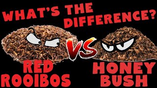 What is the difference between Red Rooibos amp Honeybush tea [upl. by Witha289]