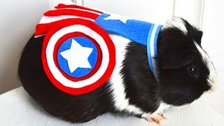 SUPERHERO RODENTS  Game LÜT 17 [upl. by Maidy]